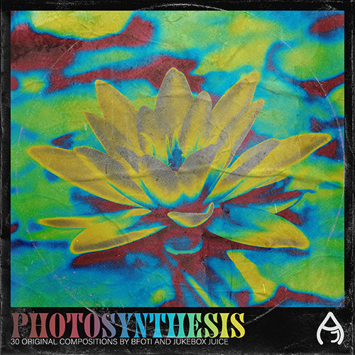 Photosynthesis (Sample Pack)