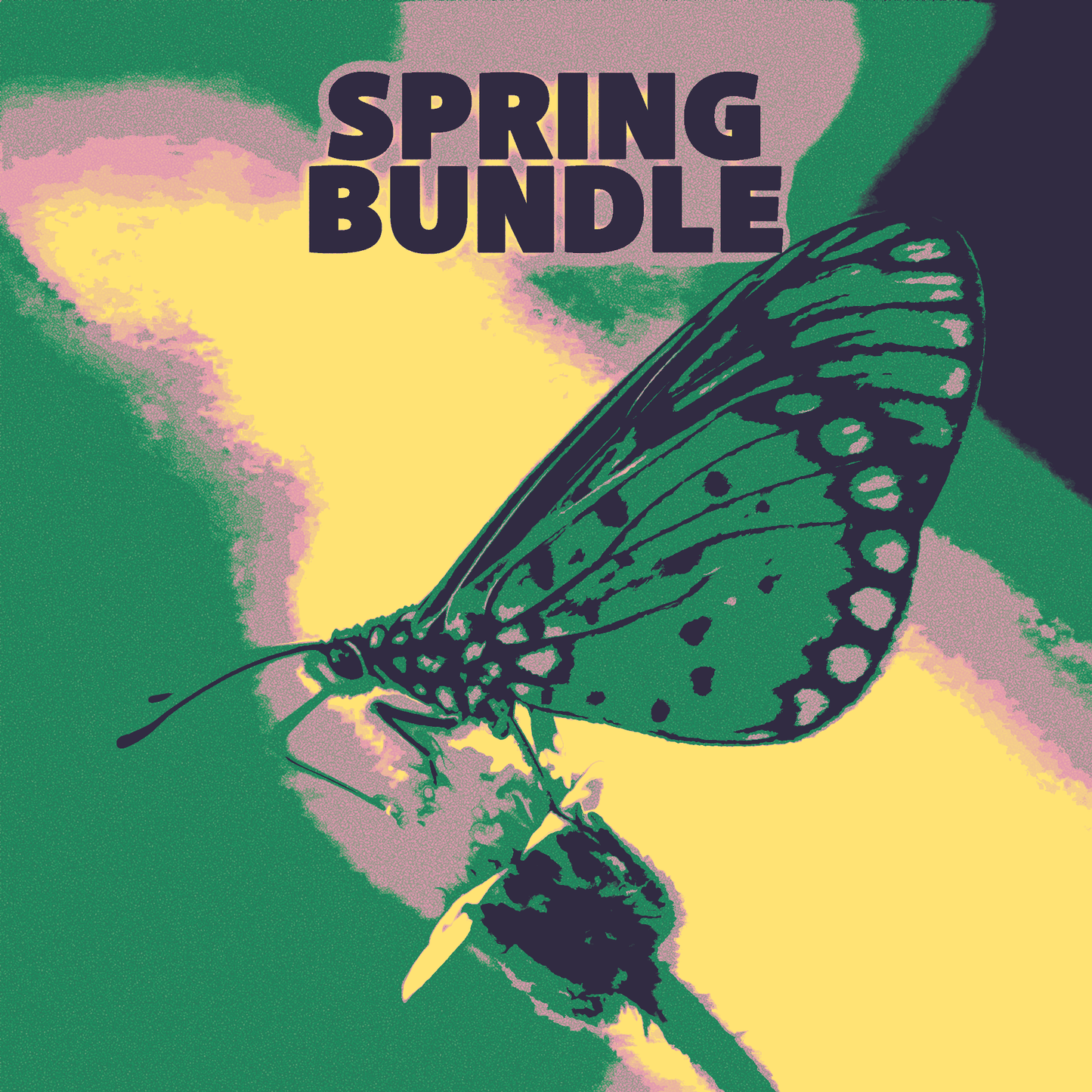 Spring Bundle 1 (5 Analog Lab Banks)